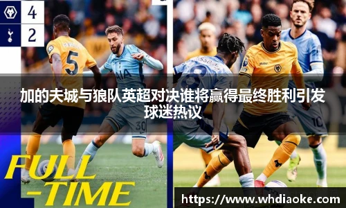 加的夫城与狼队英超对决谁将赢得最终胜利引发球迷热议